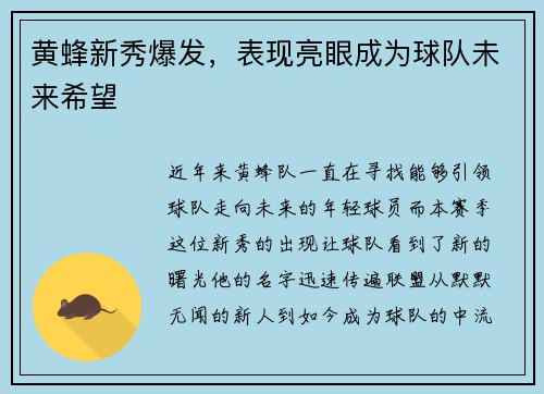 黄蜂新秀爆发，表现亮眼成为球队未来希望